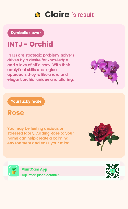 INTJ Quiz